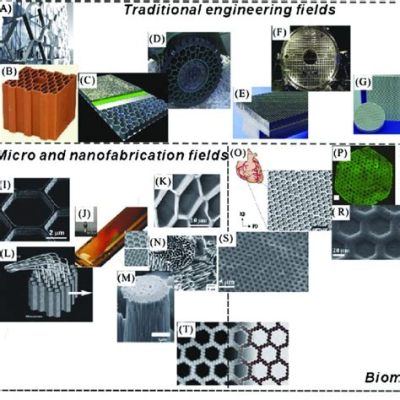  Xerogels: โครงสร้างรังผึ้งของอนาคตสำหรับการกักเก็บพลังงานและฟอกอากาศ