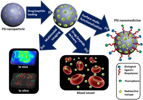  Silica Nanoparticle: Reinforcing Plastics and Revolutionizing Drug Delivery!